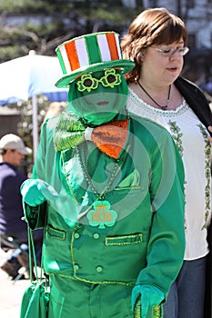 Saint Patricks Day Parade, New York City