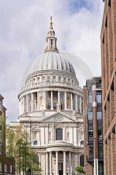 Saint Paul`s Cathedral, London flanked by trees and modern buildings