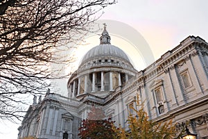 Saint Paul`s Cathedral, one of the most famous and most recognisable sights of England, with bare tree branch, London, United