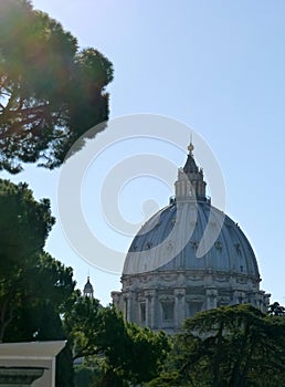 Saint Peter's Cathedral photo
