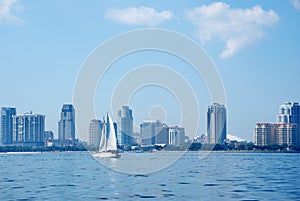 Saint Petersburg Florida skyline Tampa Bay view photo