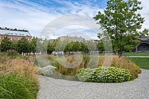 Saint Petersburg, flower beds on the island of New Holland