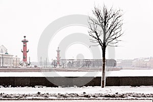 Saint Petersburg landmark Spit of Vasilievsky Island