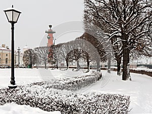 Saint Petersburg rostral column landmark