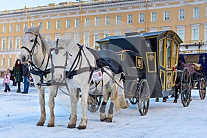 Horse drawn carriage on Palace square. Saint Petersburg. Russia