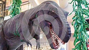 Dinosaur skeleton head close up photo in museum