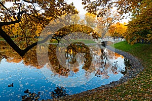 Golden autumn panorama of the pond and the bridge in the Mikhailovsky garden in SPb photo