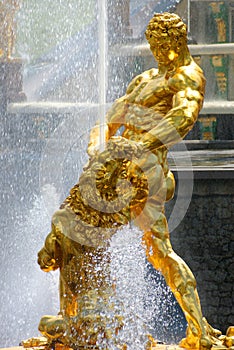 Saint-Petersburg, Russia. Samson and the Lion fountain in Petergof Grand Cascade