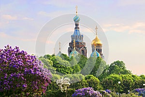 Saint-Petersburg. Russia. View of orthodox Church of the Savior on Blood