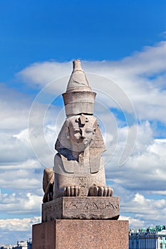 Saint petersburg. Sphynxes.Close up in a sunny day photo