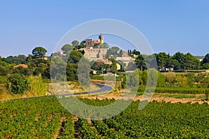 Saint-Pons-de-Mauchiens a town in southern France