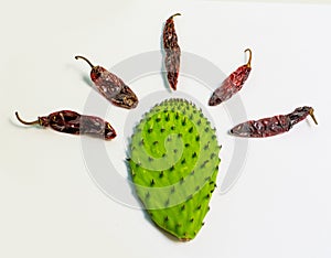 Saint nopal isolated on white background photo