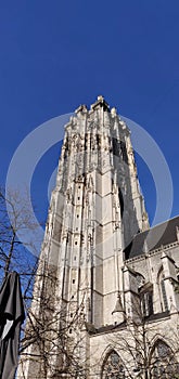 Saint-Rombout Cathedral , Mechelen, Belgie
