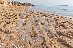 The Saint Simon beach in Beirut, Lebanon