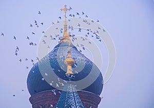 Saint Sophia Cathedral and Pigeons