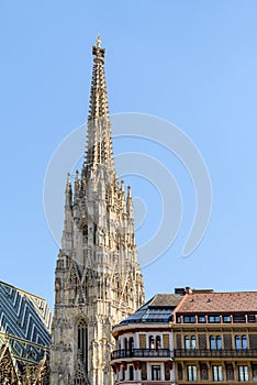 Saint Stephen's Cathedral (Stephansdom)