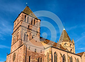 Saint Thomas church in Strasbourg - France