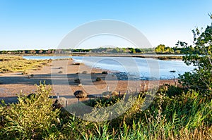 Saintes Maries de la Mer in the Camargue, a region in the south of France rich in water and grasslands, famous for white horses,