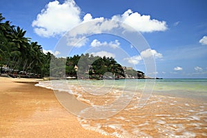 Sairee Beach on Koh Tao, Surat Thani Thailand