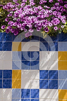 Saisies at garden and decorative tiles outdoors