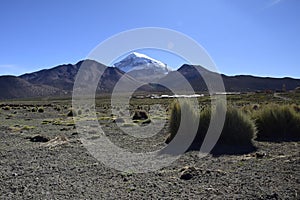 Sajama National Park surrounded by snow-capped mountains with black clouds surrounded by dry vegetation. Bolivia