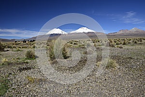 Sajama National Park surrounded by snow-capped mountains with black clouds surrounded by dry vegetation. Bolivia