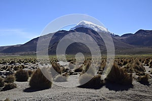 Sajama National Park surrounded by snow-capped mountains with black clouds surrounded by dry vegetation. Bolivia