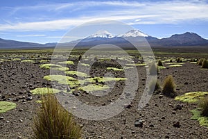 Sajama National Park surrounded by snow-capped mountains with black clouds surrounded by dry vegetation. Bolivia