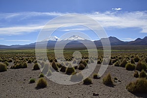 Sajama National Park surrounded by snow-capped mountains with black clouds surrounded by dry vegetation. Bolivia
