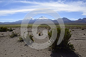 Sajama National Park surrounded by snow-capped mountains with black clouds surrounded by dry vegetation. Bolivia