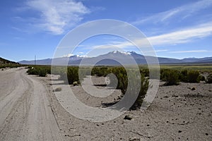 Sajama National Park surrounded by snow-capped mountains with black clouds surrounded by dry vegetation. Bolivia