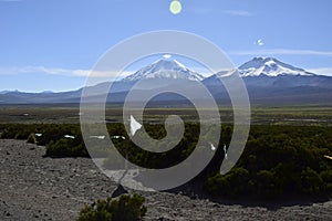 Sajama National Park surrounded by snow-capped mountains with black clouds surrounded by dry vegetation. Bolivia