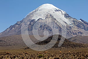 Sajama volcano