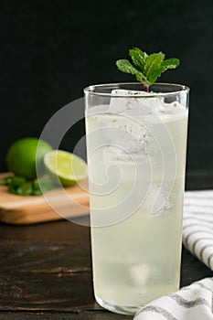 Sake Mojito Cocktail with Mint Garnish