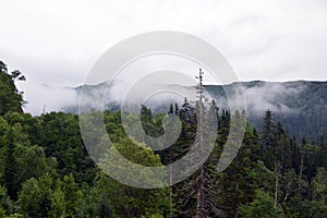 Sakhalin fogy mountains