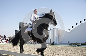 Sakhir, Bahrain Nov 26: Lipizzaner Stallions show