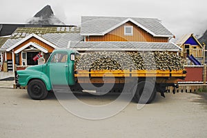 Sakrisoy Island, Lofoten Archipelago, Norland County, Norway