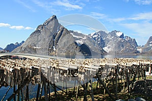 Sakrisoy's mountains and stockfish