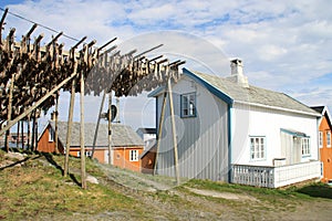 Sakrisoy's stockfish