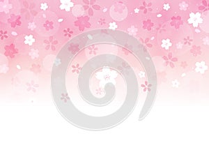 Sakura background material