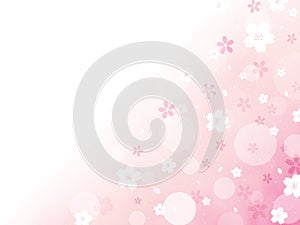 Sakura background material