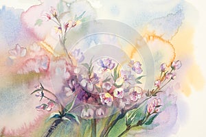 Sakura bloom watercolor