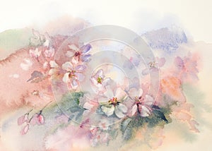 Sakura bloom watercolor