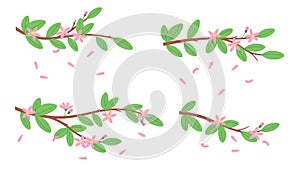 Sakura blossom branches. Peach or apple tree blooming. Cartoon isolated tree branch with pink flowers and falling petals