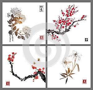 Sakura blossom, chrysanthemum and lily flowers on white background. Traditional oriental ink painting sumi-e, u-sin, go photo