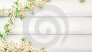 Sakura blossom flowers and may floral nature on wooden background. Branches of blossoming cherry against background