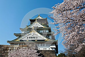 Sakura blossom at Osaka Castle