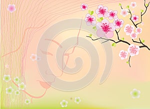 Sakura blossoms background