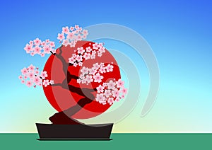 Sakura bonsai floral isolated illustrations