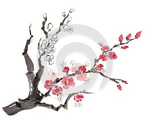 Sakura branch in blossom on white background, made in Chinese technique go-hua. Bitmap